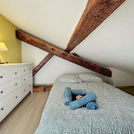 Apartmán Le Nid Boise Carmes - Charmant T4 Hypercentre *