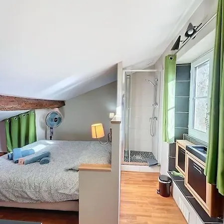 Le Nid Boise Carmes - Charmant T4 Hypercentre Apartman