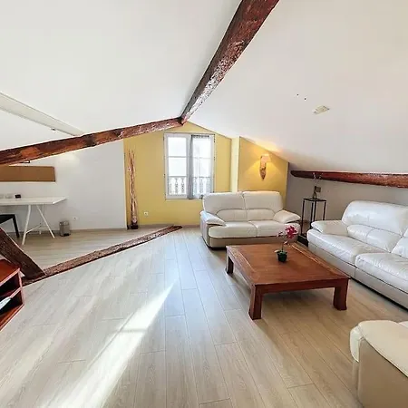 Appartement Le Des Carmes - T4 Hypercentre Toulouse
