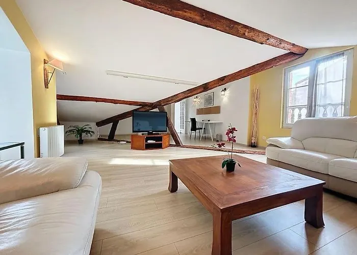 Le Des Carmes - T4 Hypercentre 툴루즈