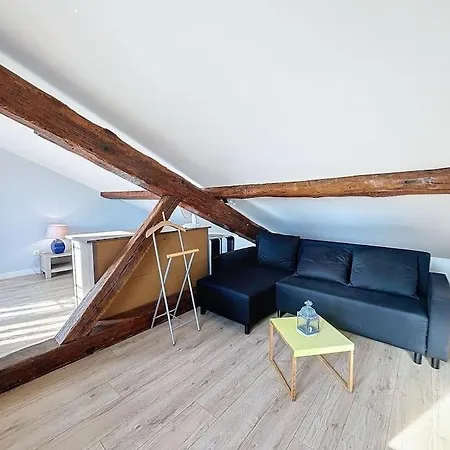 Appartement Le Des Carmes - T4 Hypercentre Toulouse