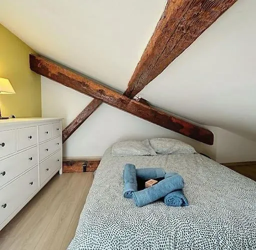 Appartement Le Des Carmes - T4 Hypercentre *