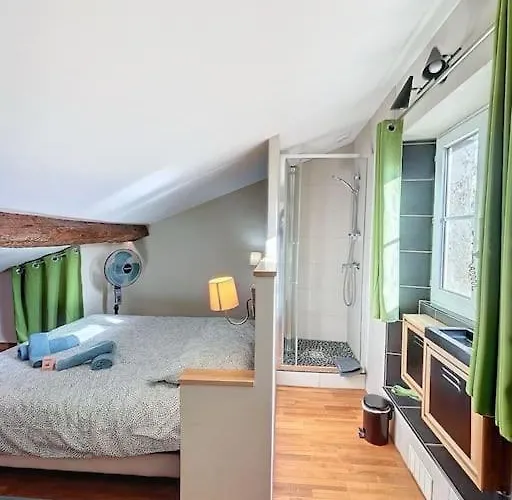 Le Des Carmes - T4 Hypercentre Appartement