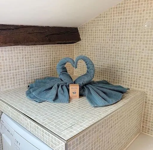 Le Des Carmes - T4 Hypercentre Appartement Toulouse